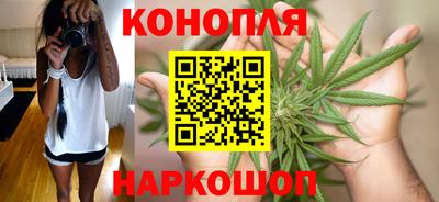 соль ск Будённовск