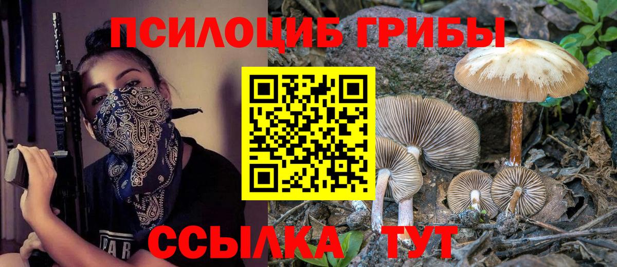 Галлюциногенные грибы Psilocybe Мончегорск