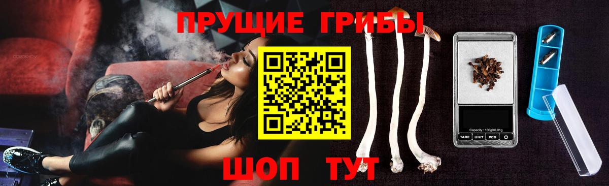 Псилоцибиновые грибы GOLDEN TEACHER  Галлюциногенные грибы GOLDEN TEACHER  Вход с VPN  Мончегорск 